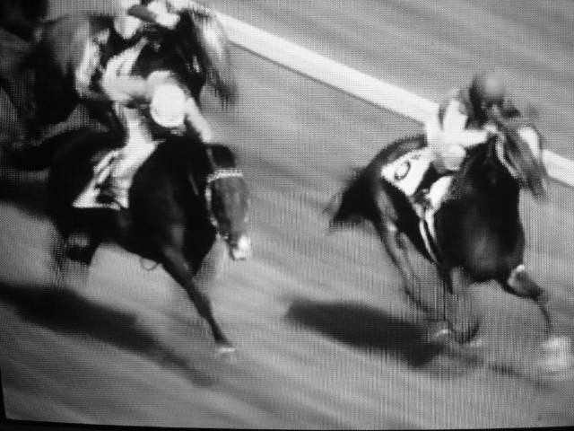 競馬は数分間にかずかずのドラマが繰りひろげられている